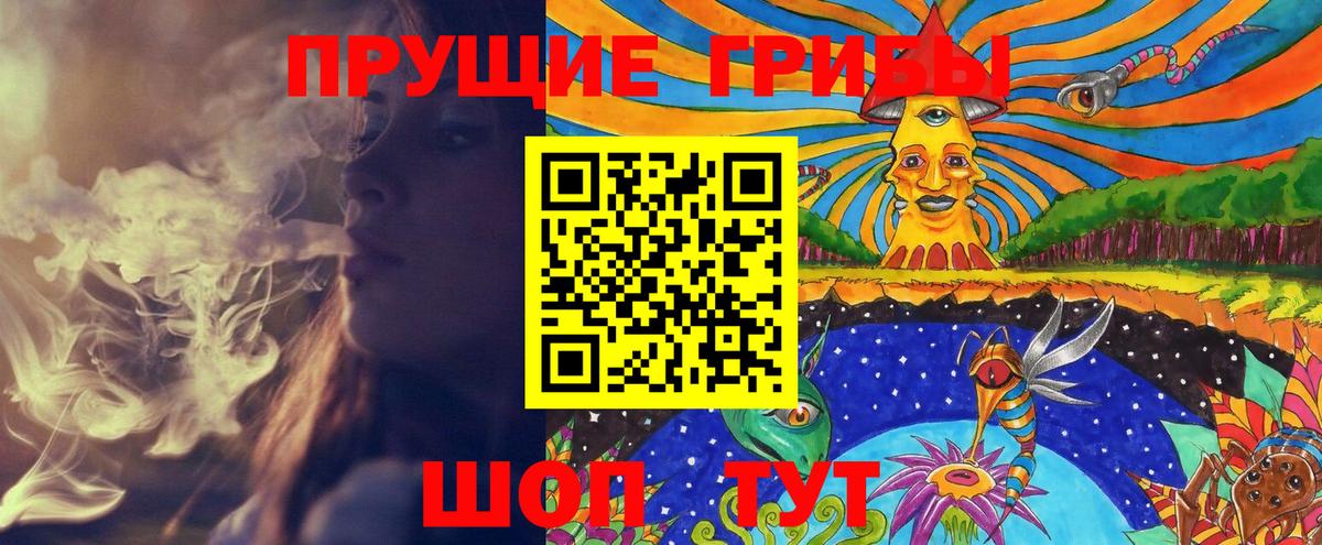 Галлюциногенные грибы Psilocybe  Вход с VPN  Псилоцибиновые грибы ЛСД  Борисоглебск 