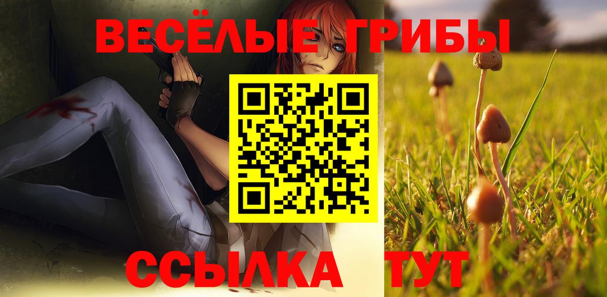 Псилоцибиновые грибы ЛСД Борисоглебск